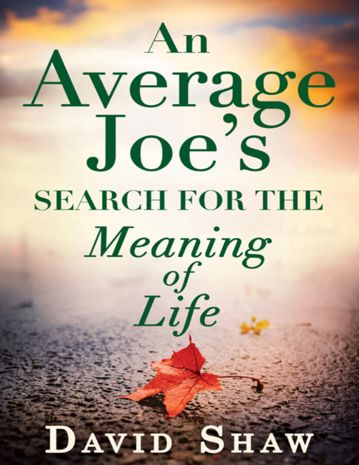 An Average Joes Search For The Meaning Of Life David Shaw
