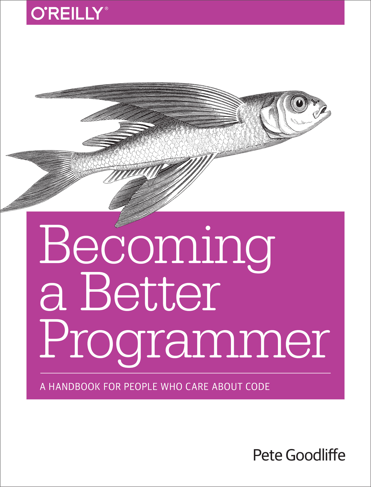 Becoming A Better Programmer Pete Goodliffe