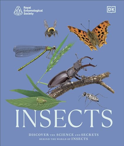 Res Insects Discover The Science And Secrets Behind The World Of Insects Dk Dk