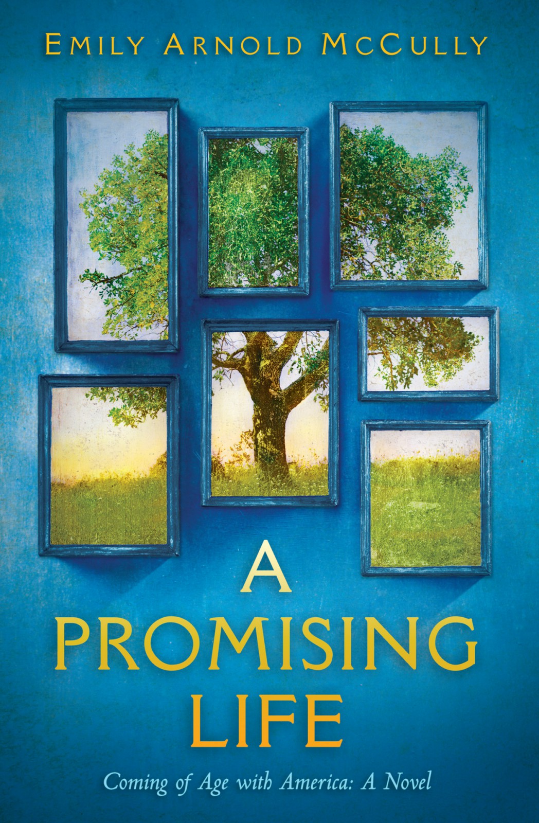 A Promising Life Mccully Emily Arnold