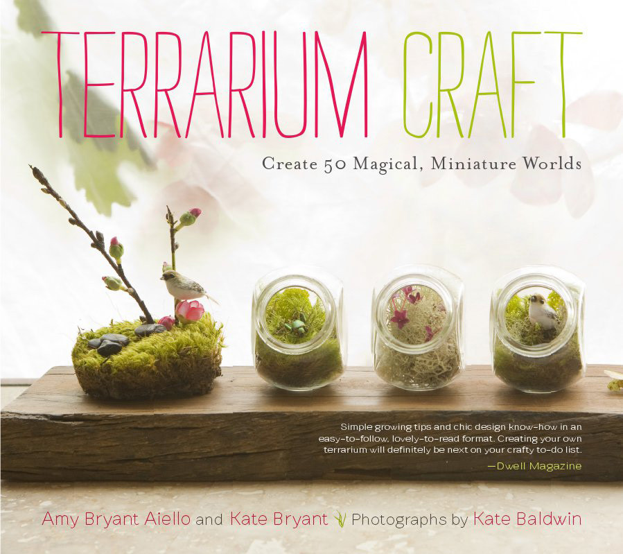 Terrarium Craft Amy Bryant Aiello Kate Bryant