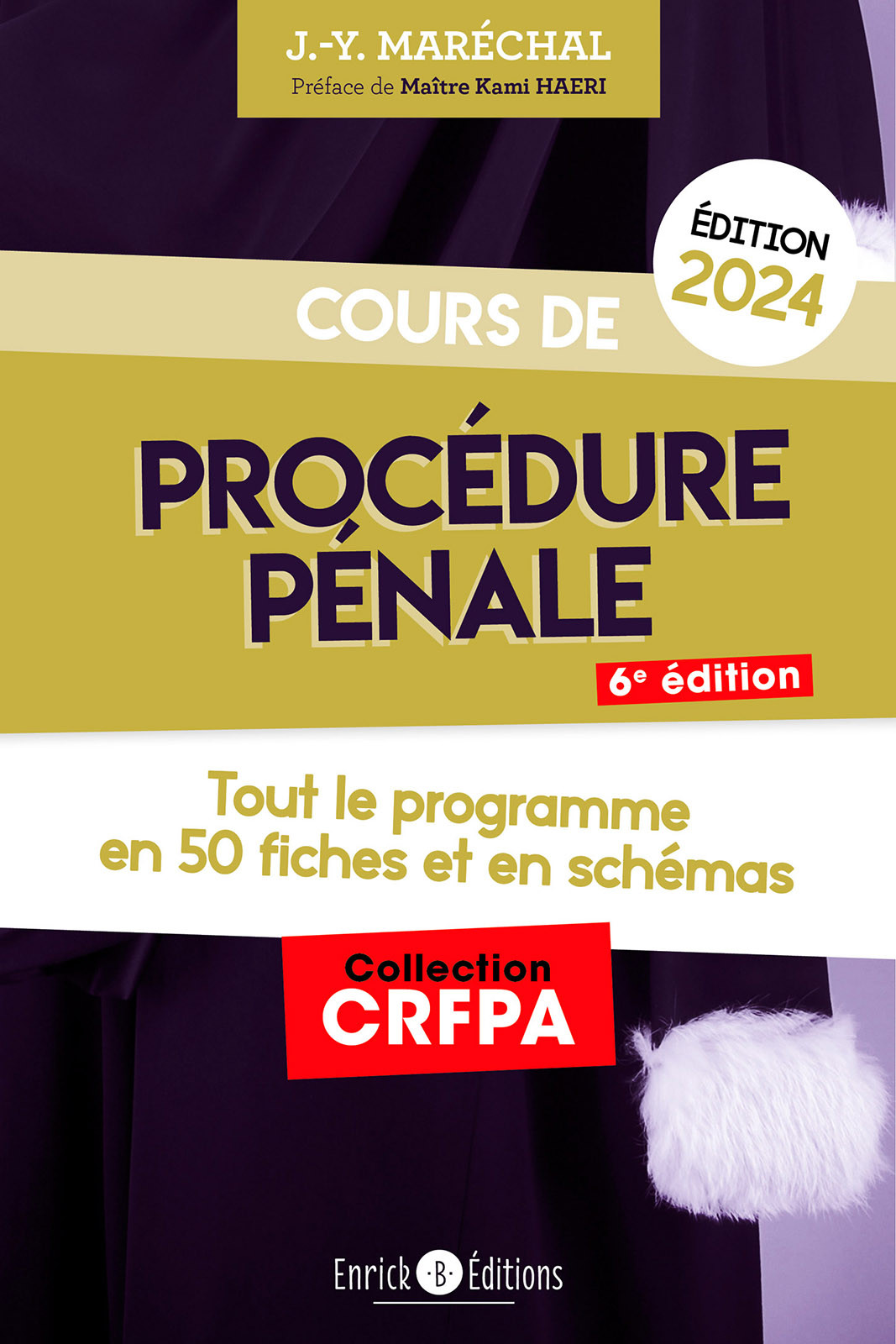 Cours De Procedure Penale 2024 Tout Le Programme En Fiches Et En Schemas Jeanyves Marechal