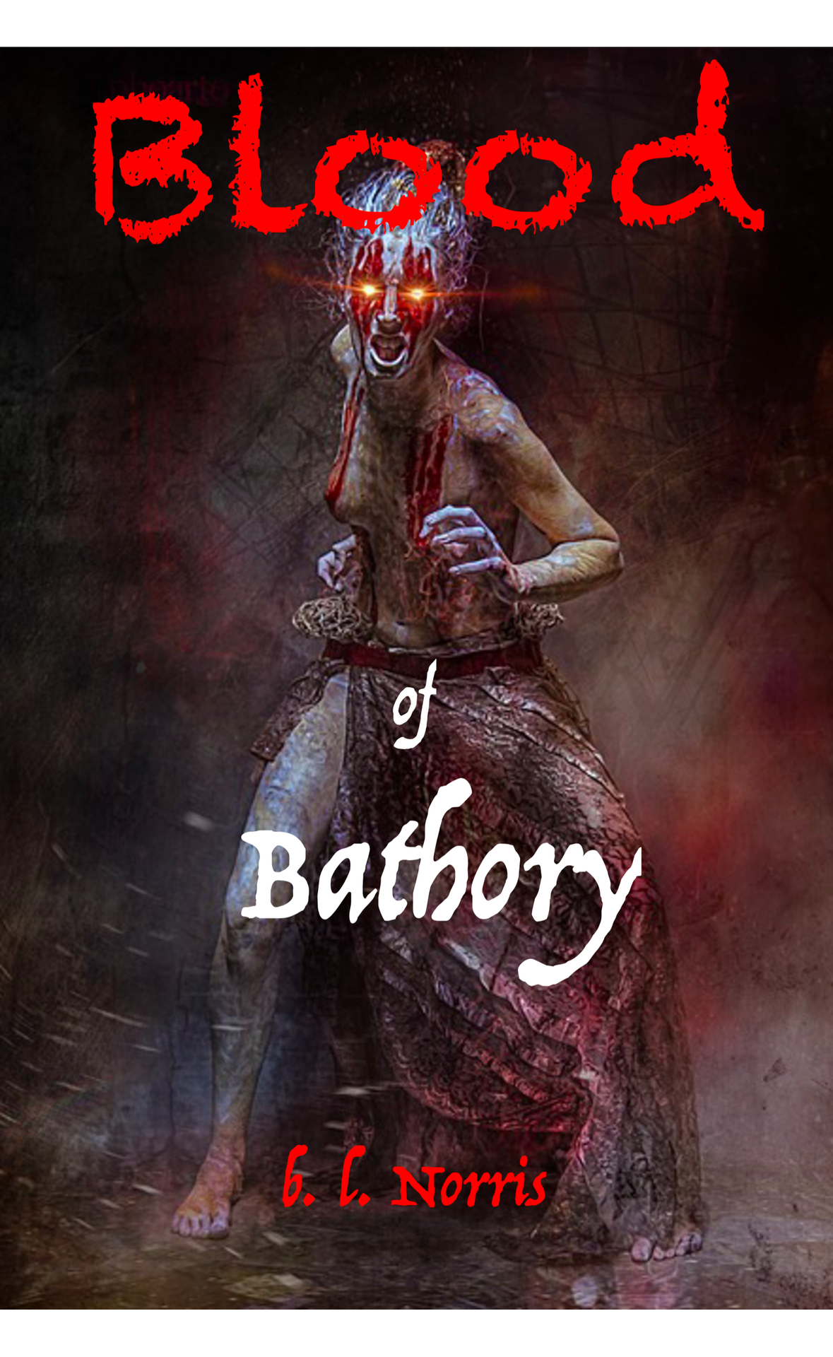 Blood Of Bathory The Descendant B L Norris
