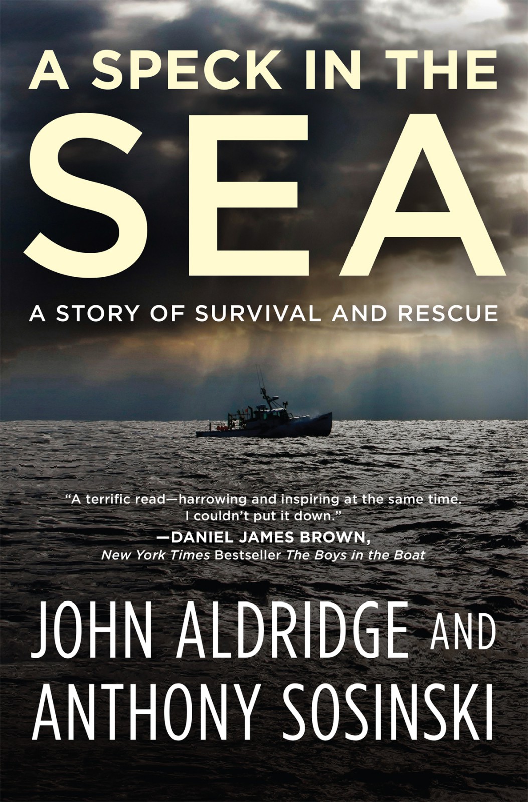 A Speck In The Sea A Story Of Survival And Rescue Aldridge