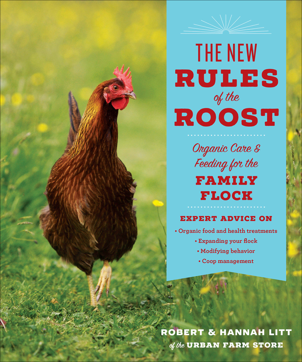 The New Rules Of The Roost Robert Litt