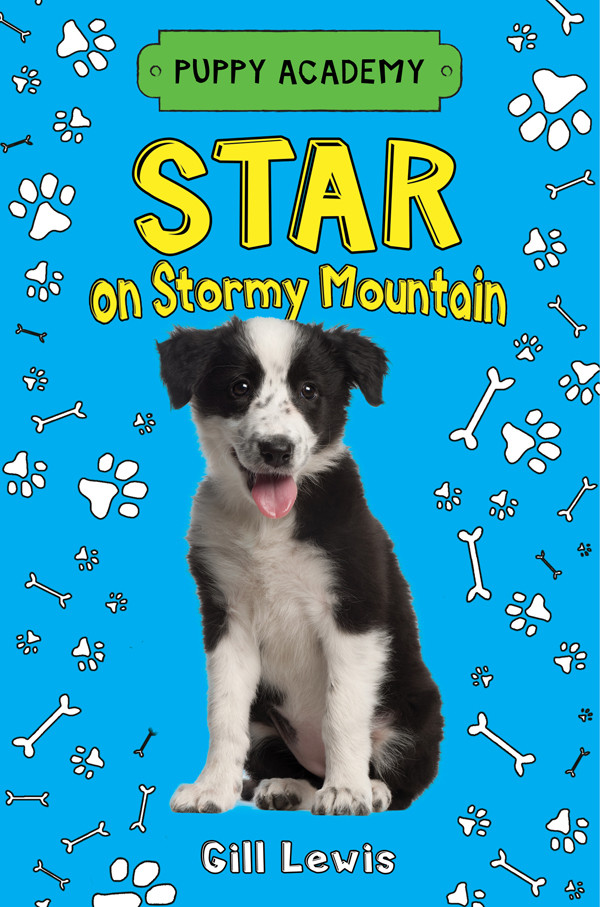 Star On Stormy Mountain Lewis Gill