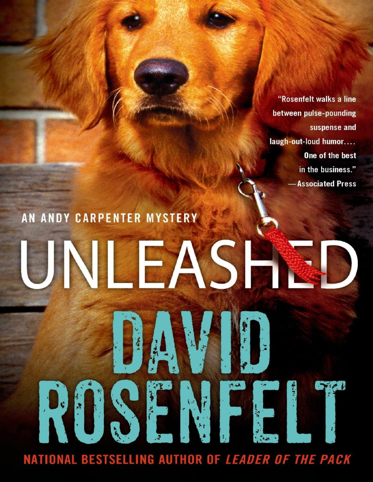 Unleashed An Andy Carpenter Mystery David Rosenfelt