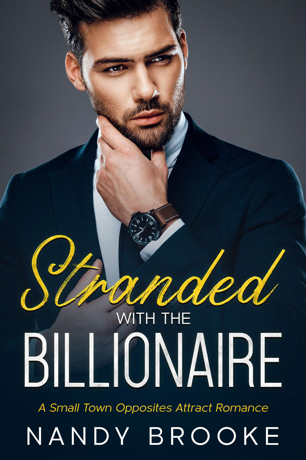 Stranded With The Billionaire Nandy Brooke