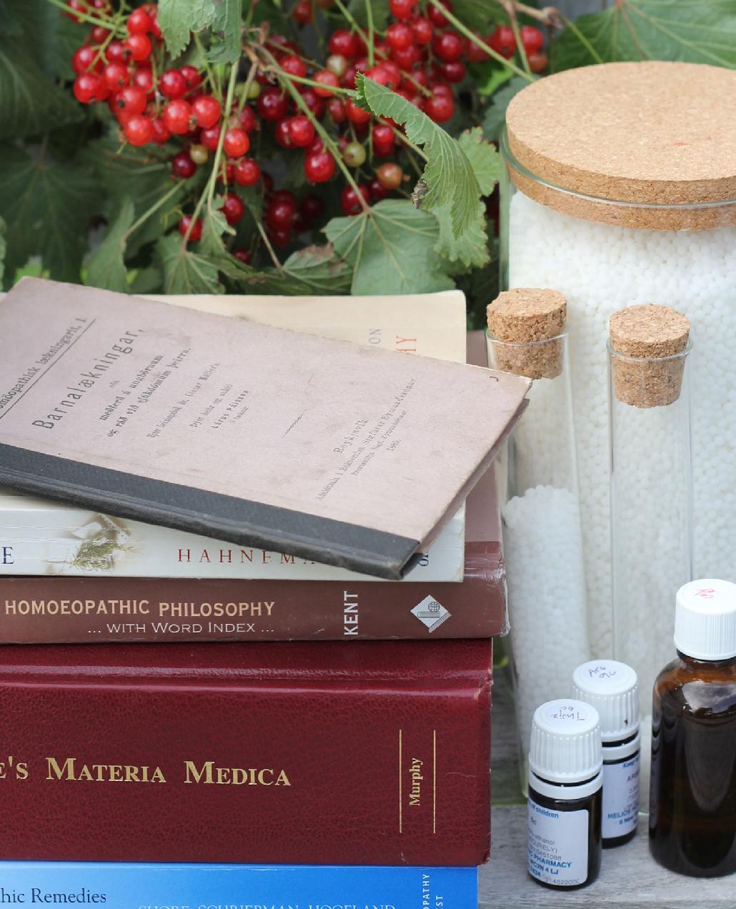 Pregnancy And Childbirth With Homeopathy Gun Sk Diriksdttir