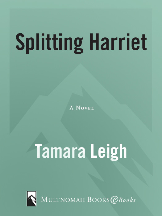 Southern Discomfort 03 Splitting Harriet Leigh Tamara