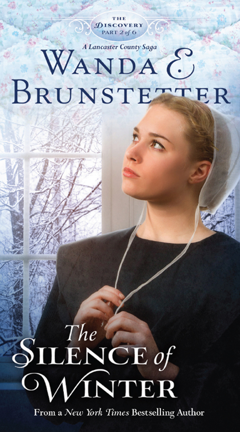 The Discovery 02 The Silence Of Winter Brunstetter Wanda E