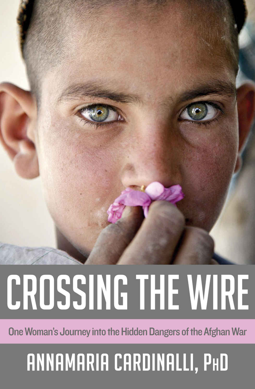 Crossing The Wire Cardinalli Annamaria