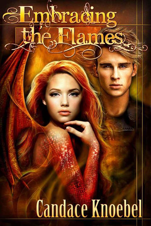 Born In Flames Trilogy 02 Embracing The Flames Knoebel