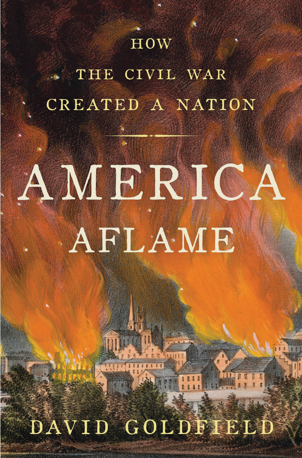 America Aflame Goldfield David