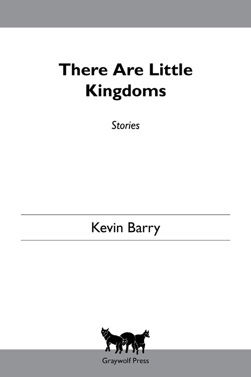 There Are Little Kingdoms Stories Barry Kevin