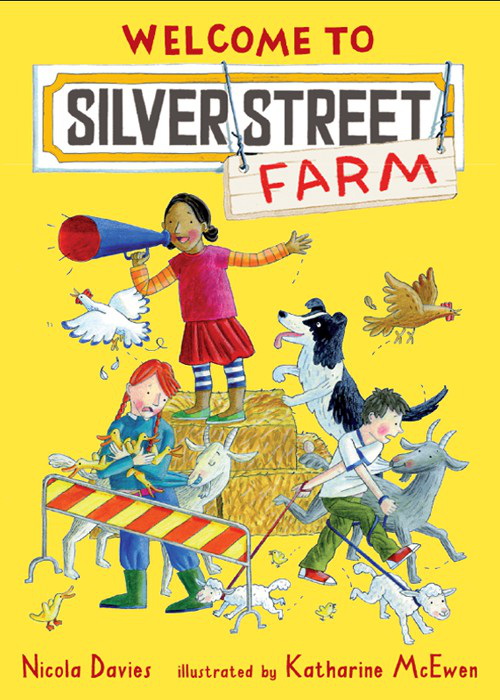 Silver Street Farm 01 Welcome To Silver Street Farm Davies