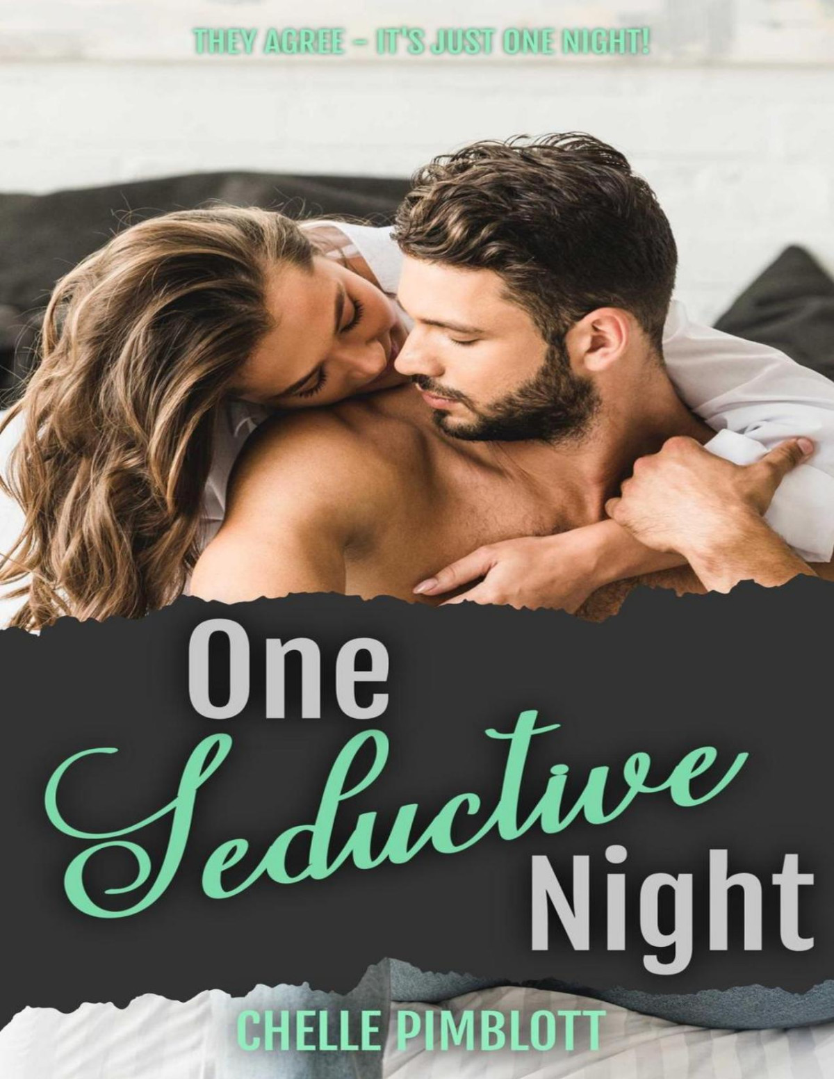 One Seductive Night Chelle Pimblott