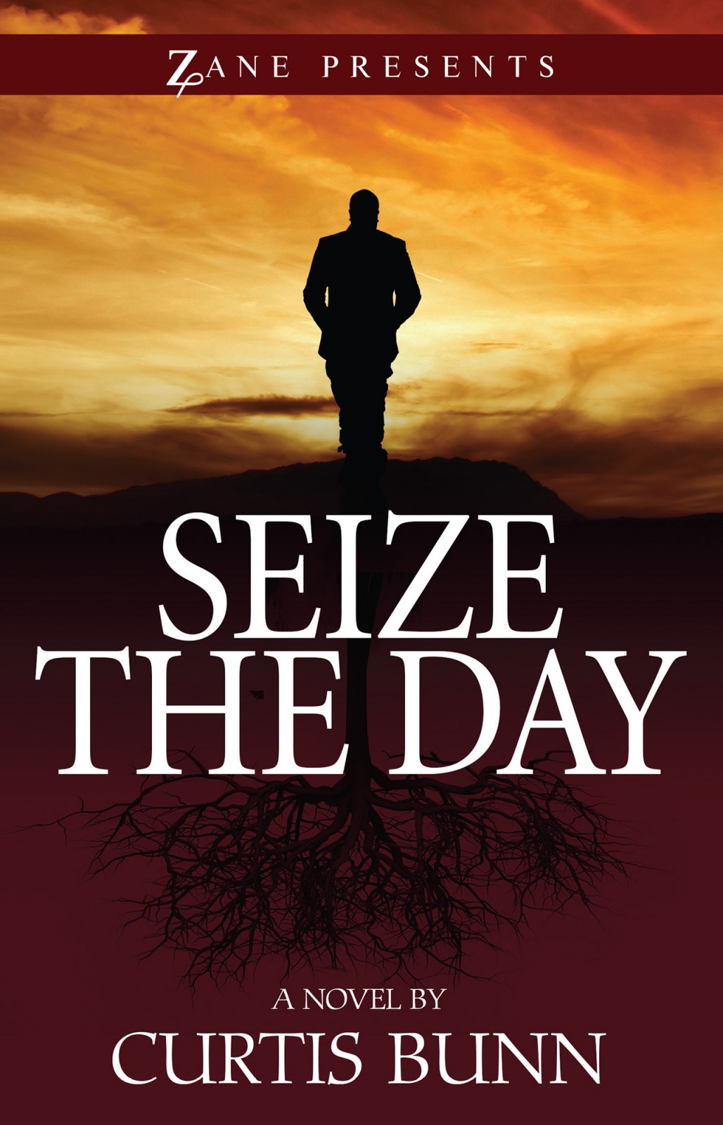 Seize The Day Bunn Curtis