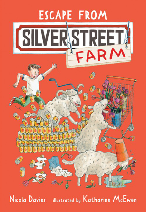 Silver Street Farm 02 Escape From Silver Street Farm Davies