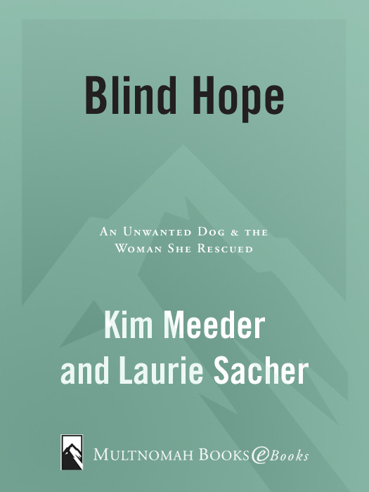 Blind Hope An Unwanted Dog The Woman She Rescued Meeder