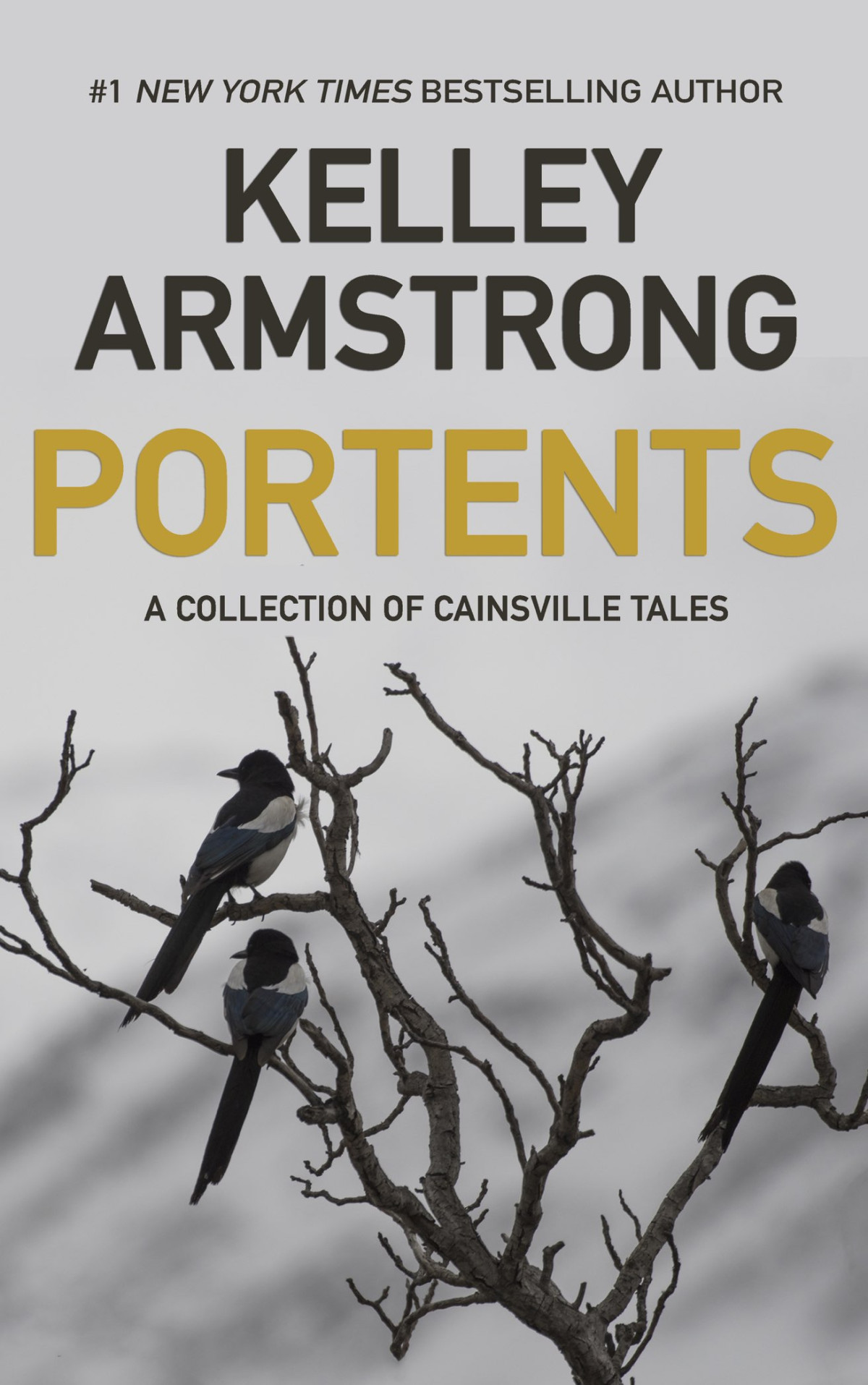 Cainsville Shorts 01 Portents Armstrong Kelley