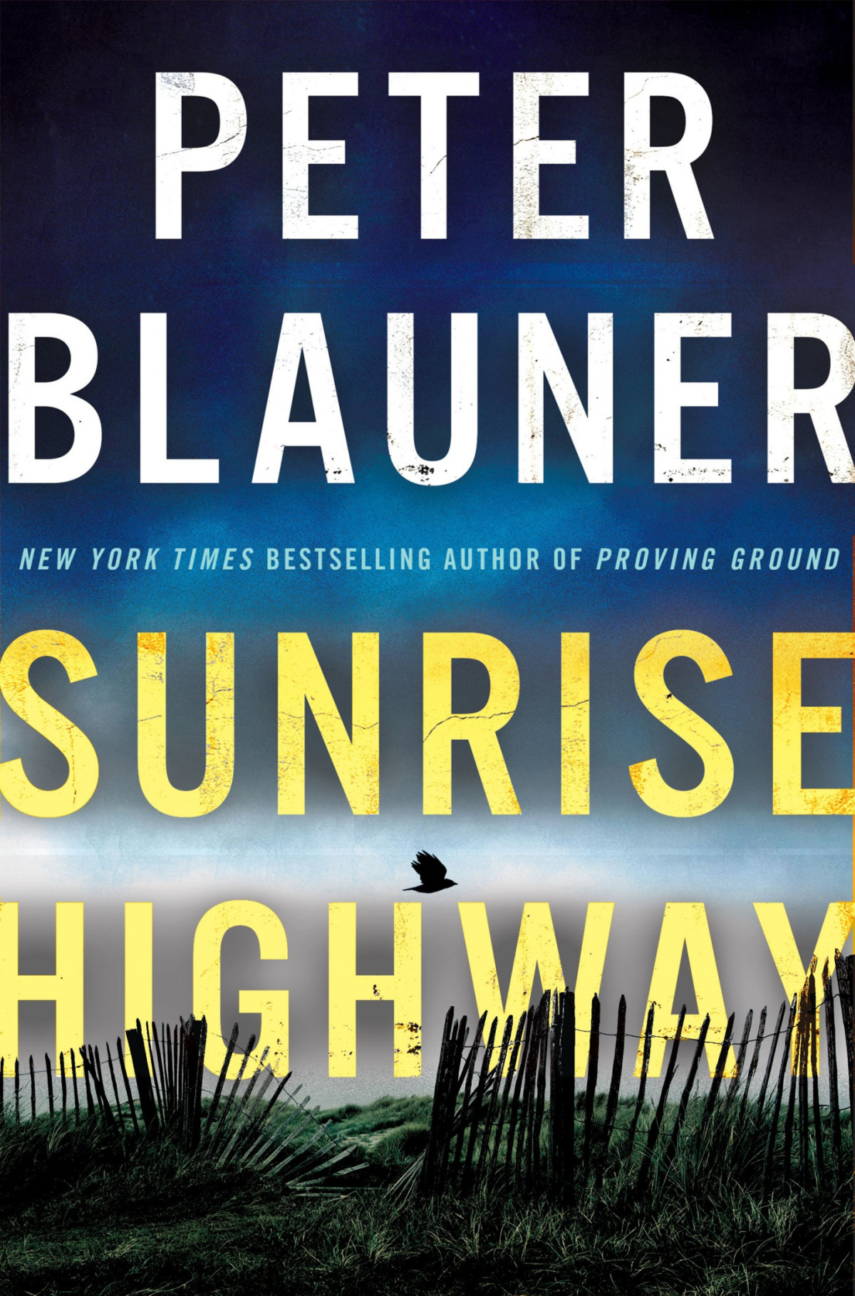 Lourdes Robles 02 Sunrise Highway Blauner Peter