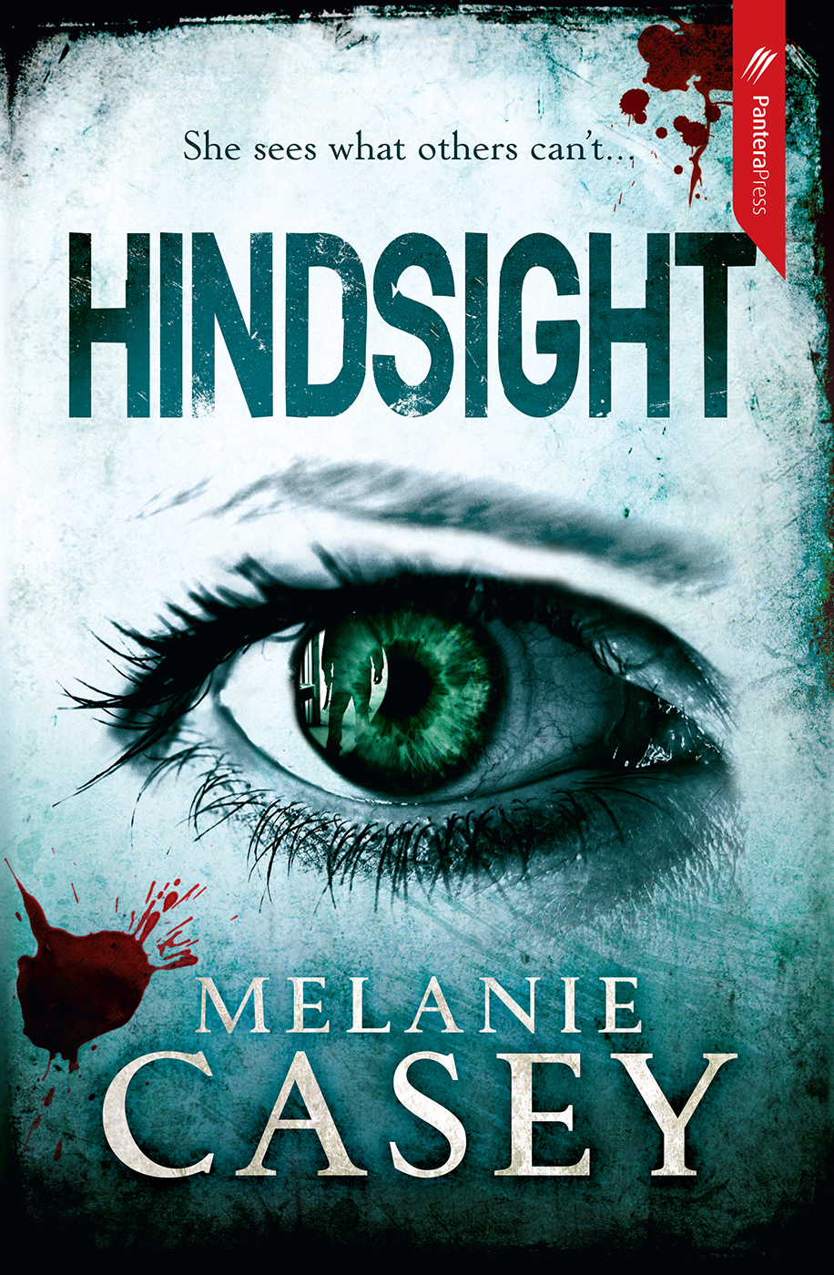 Cass Lehman And Detective Ed Dyson 01 Hindsight Casey Melanie