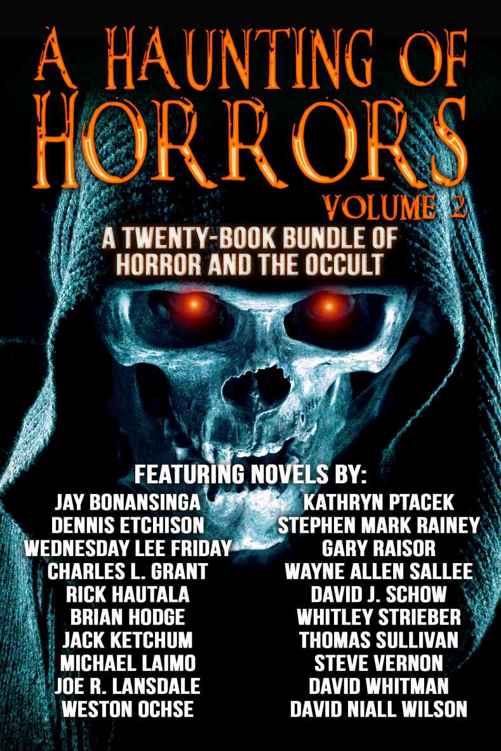 A Haunting Of Horrors Volume 2 A Twentybook Ebook Bundle Of Horror And The Occult Hodge