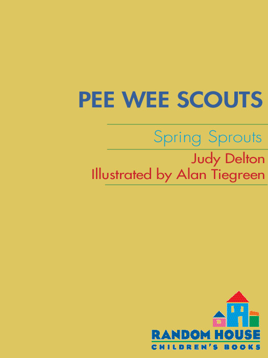 Pee Wee Scouts 09 Spring Sprouts Delton Judy