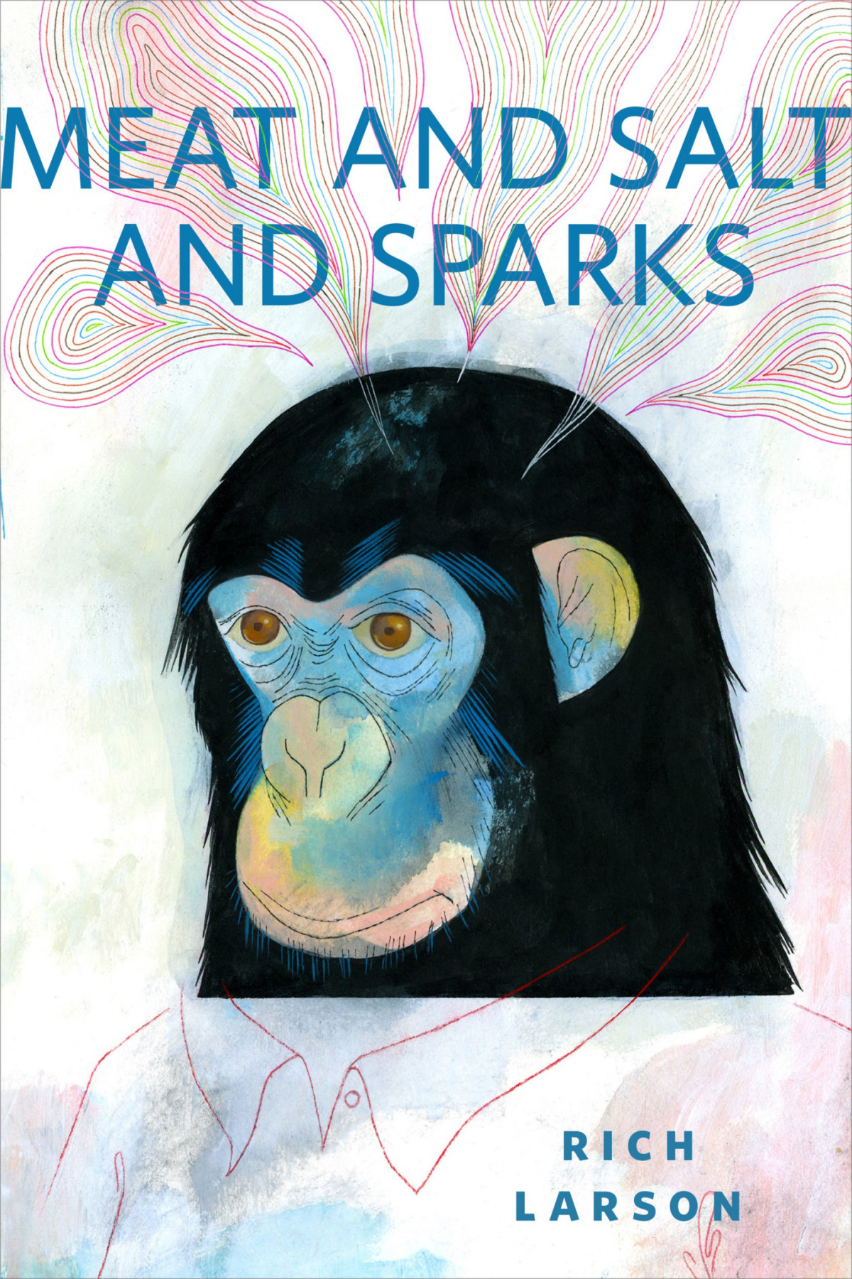 Meat And Salt And Sparks Larson Rich