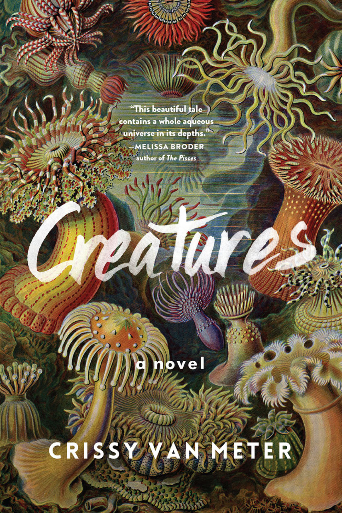Creatures Meter Crissy Van