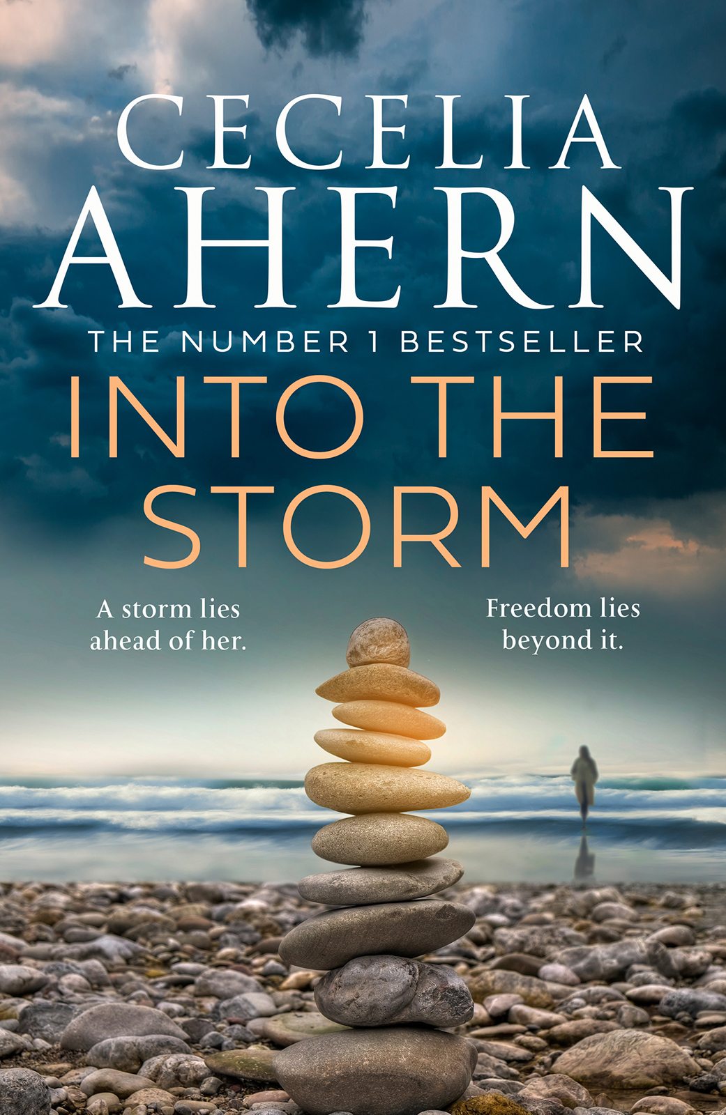 Into The Storm Cecelia Ahern
