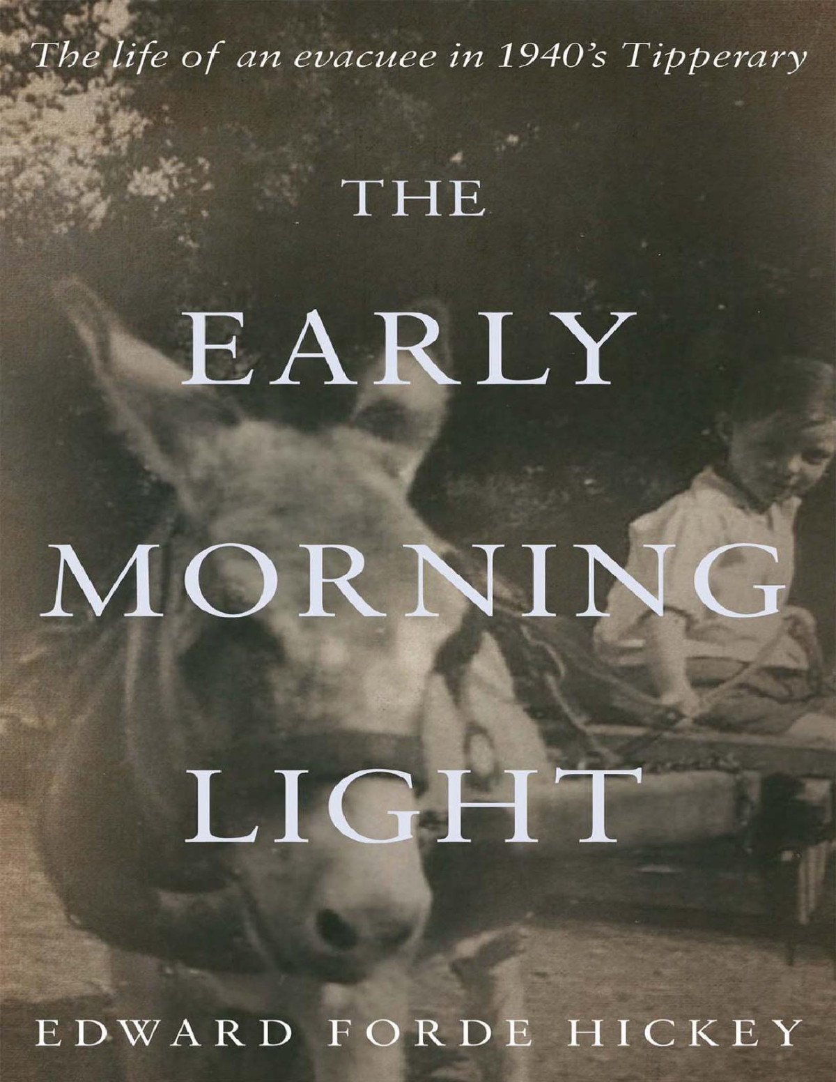 The Early Morning Light Edward Forde Hickey