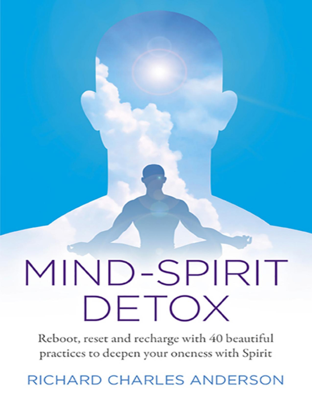 Mindspirit Detox Richard Charles Anderson