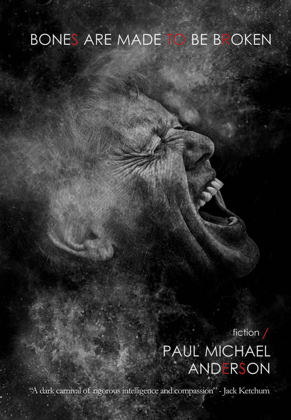 Bones Are Made To Be Broken Anderson Paul Michael