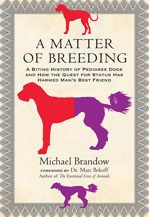 A Matter Of Breeding Brandow Michael