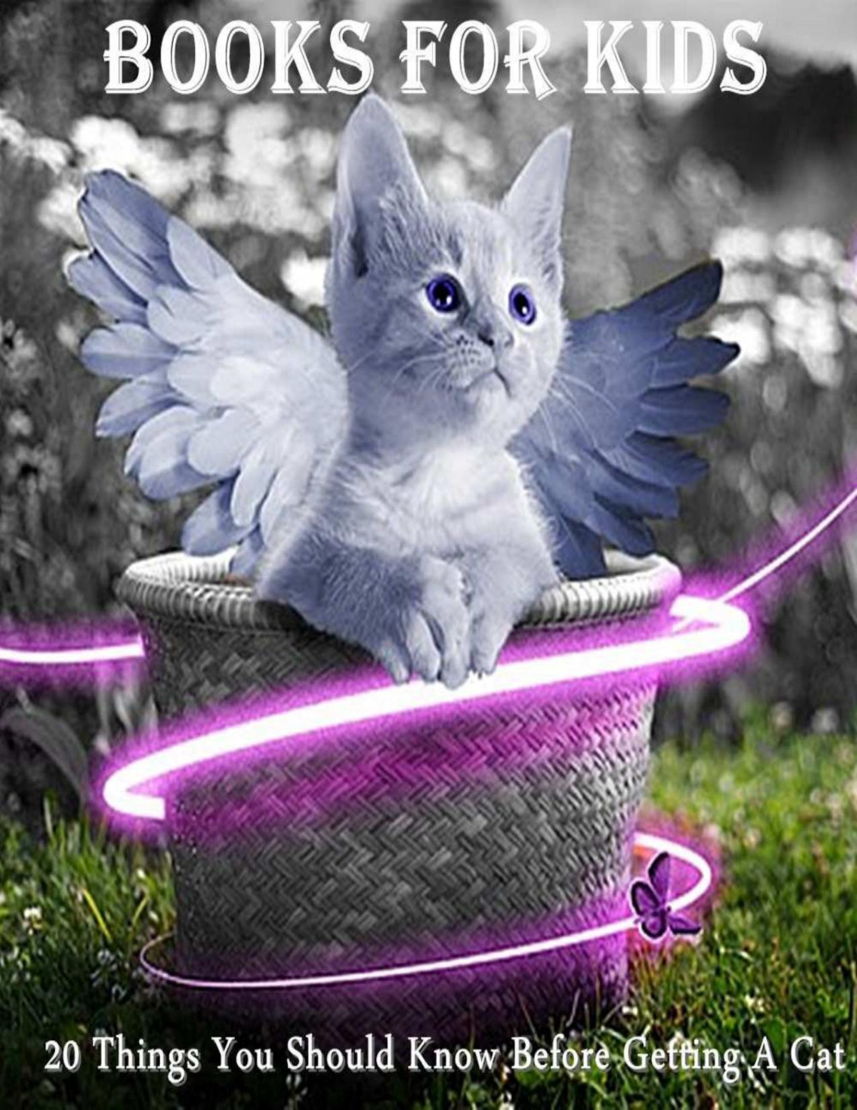 Books For Kids 20 Things You Should Know Before Getting A Cat Cat Picture Books For Kids The Most Popular Cat Breeds 2015 Puppy P