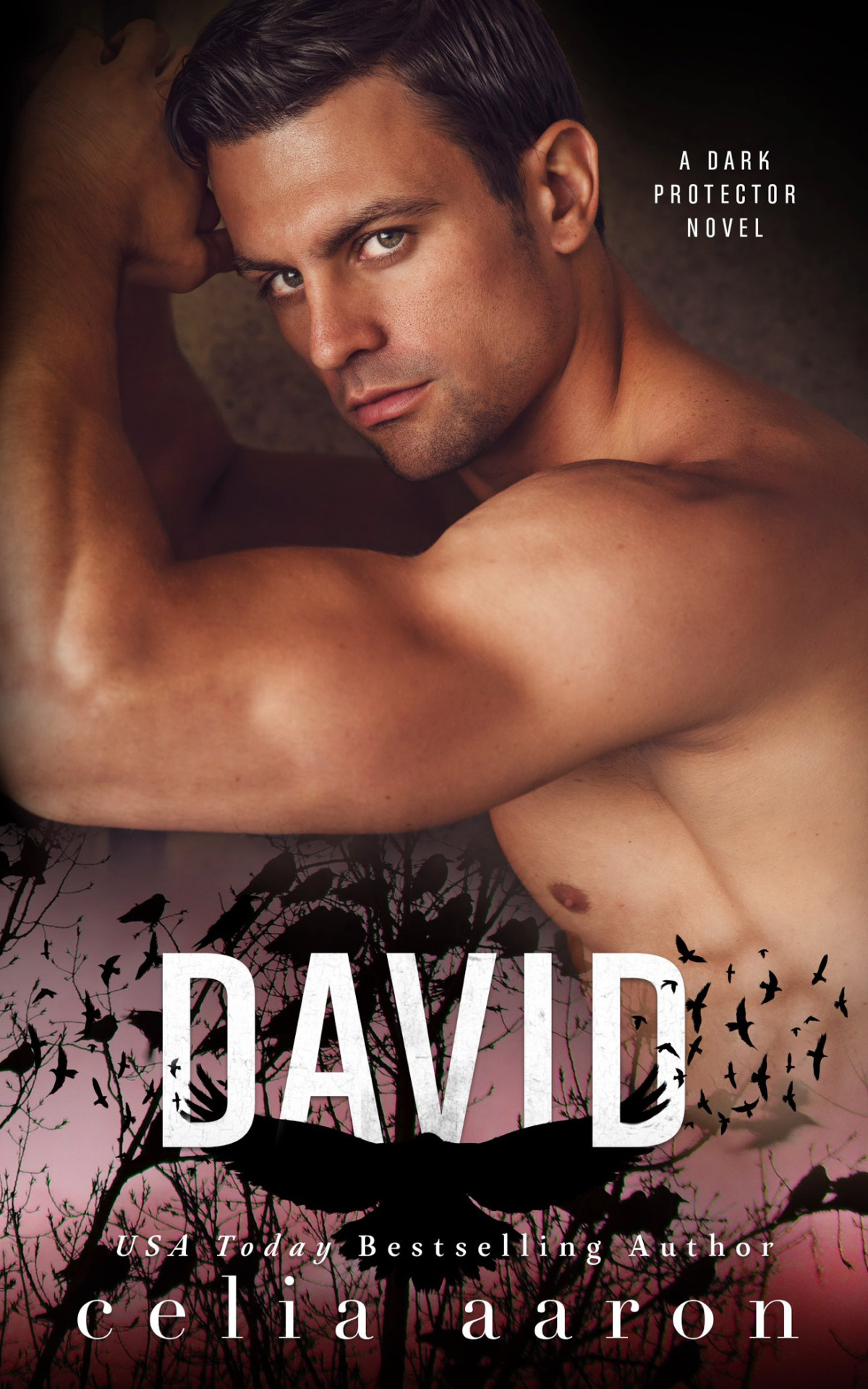 Dark Protector 03 David Aaron Celia