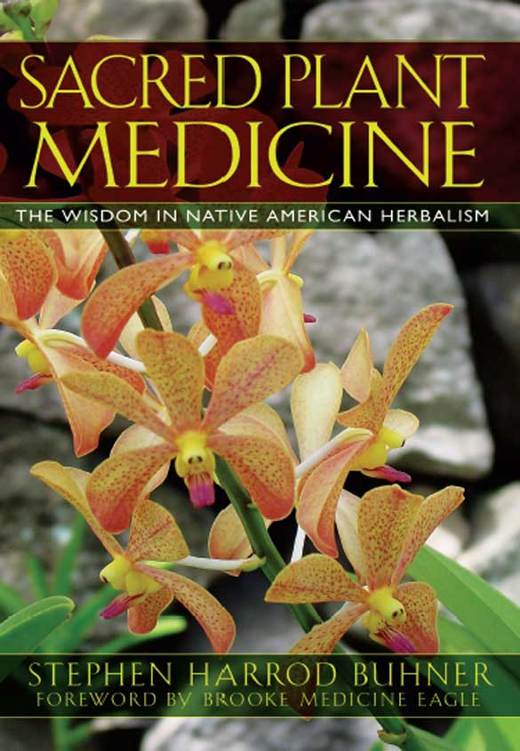 Sacred Plant Medicine The Wisdom In Native American Herbalism Stephen Harrod Buhner