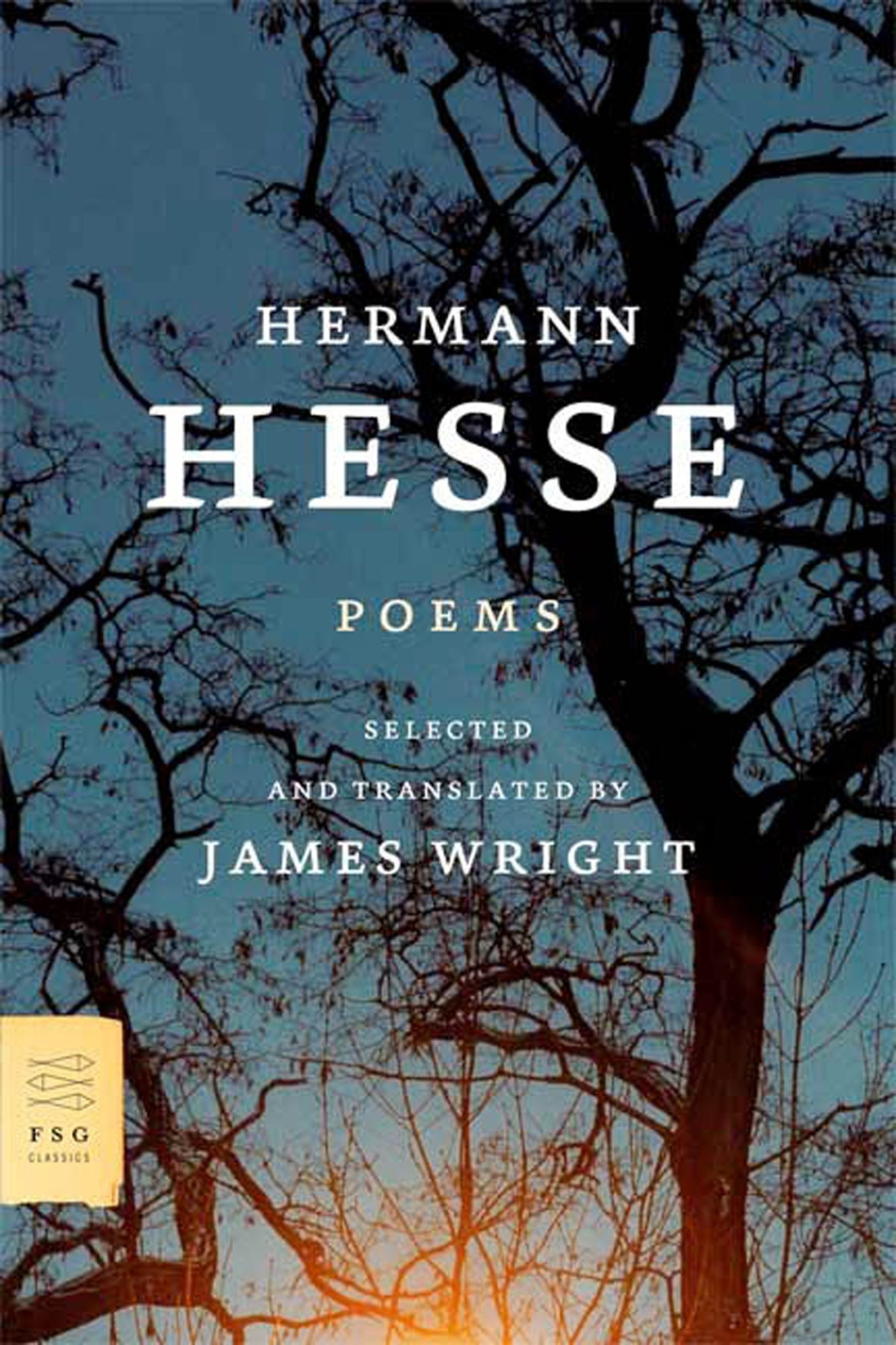 Poems Fsg Classics Hermann Hesse