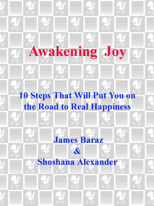 Awakening Joy James Baraz