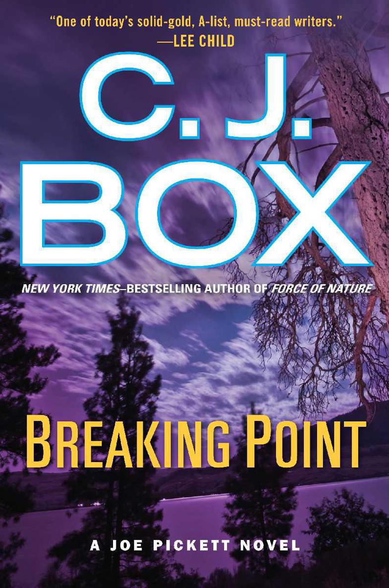 Joe Pickett 13 Breaking Point Box Cj