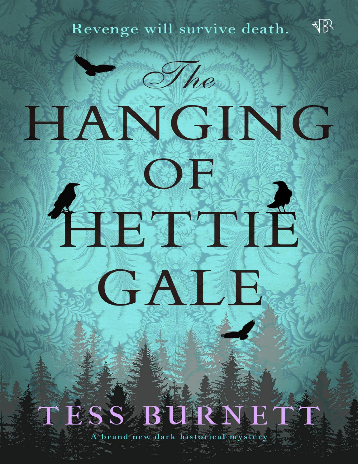 The Hanging Of Hettie Gale Tess Burnett