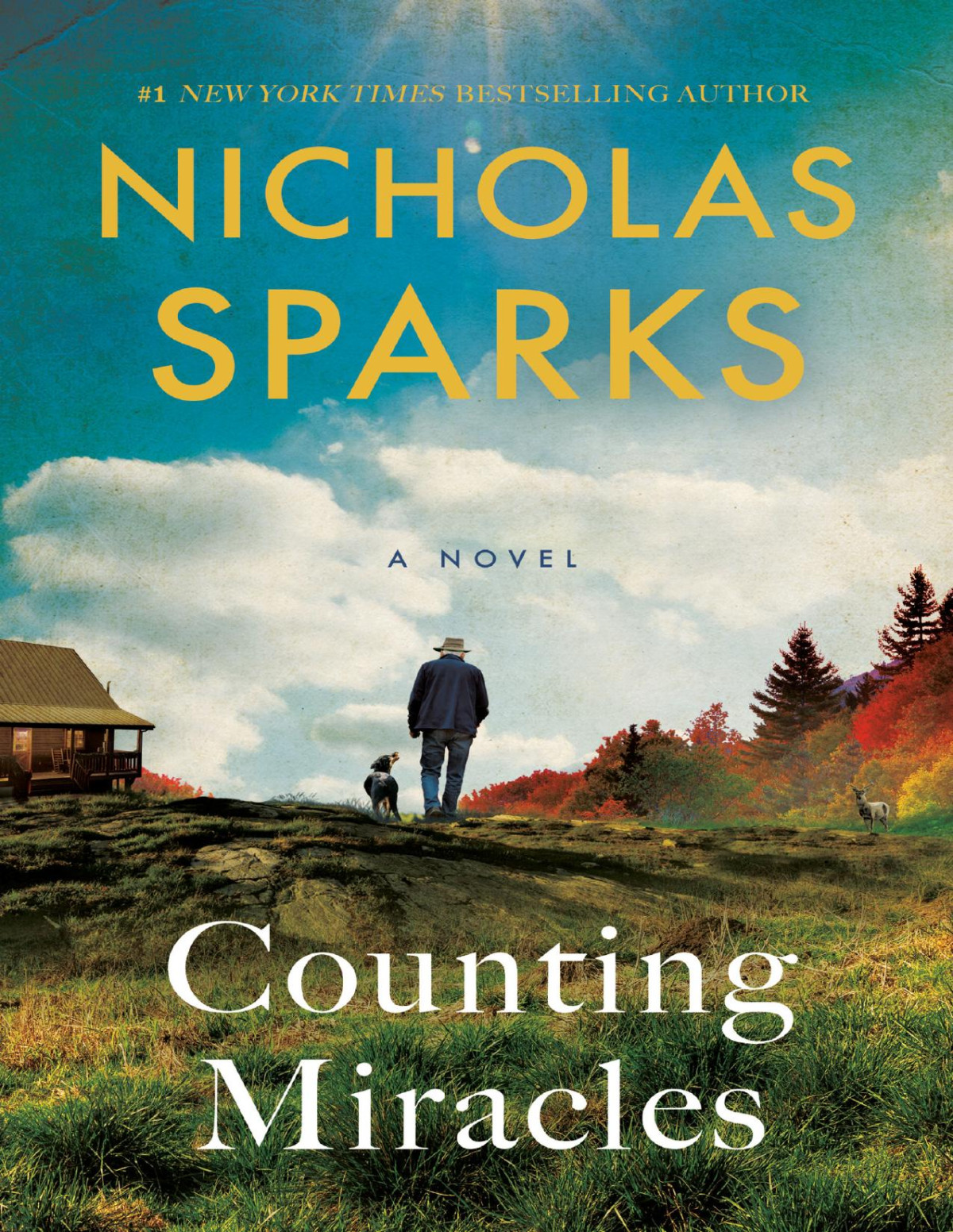 Counting Miracles A Novel 1st Edition Nicholas Sparks