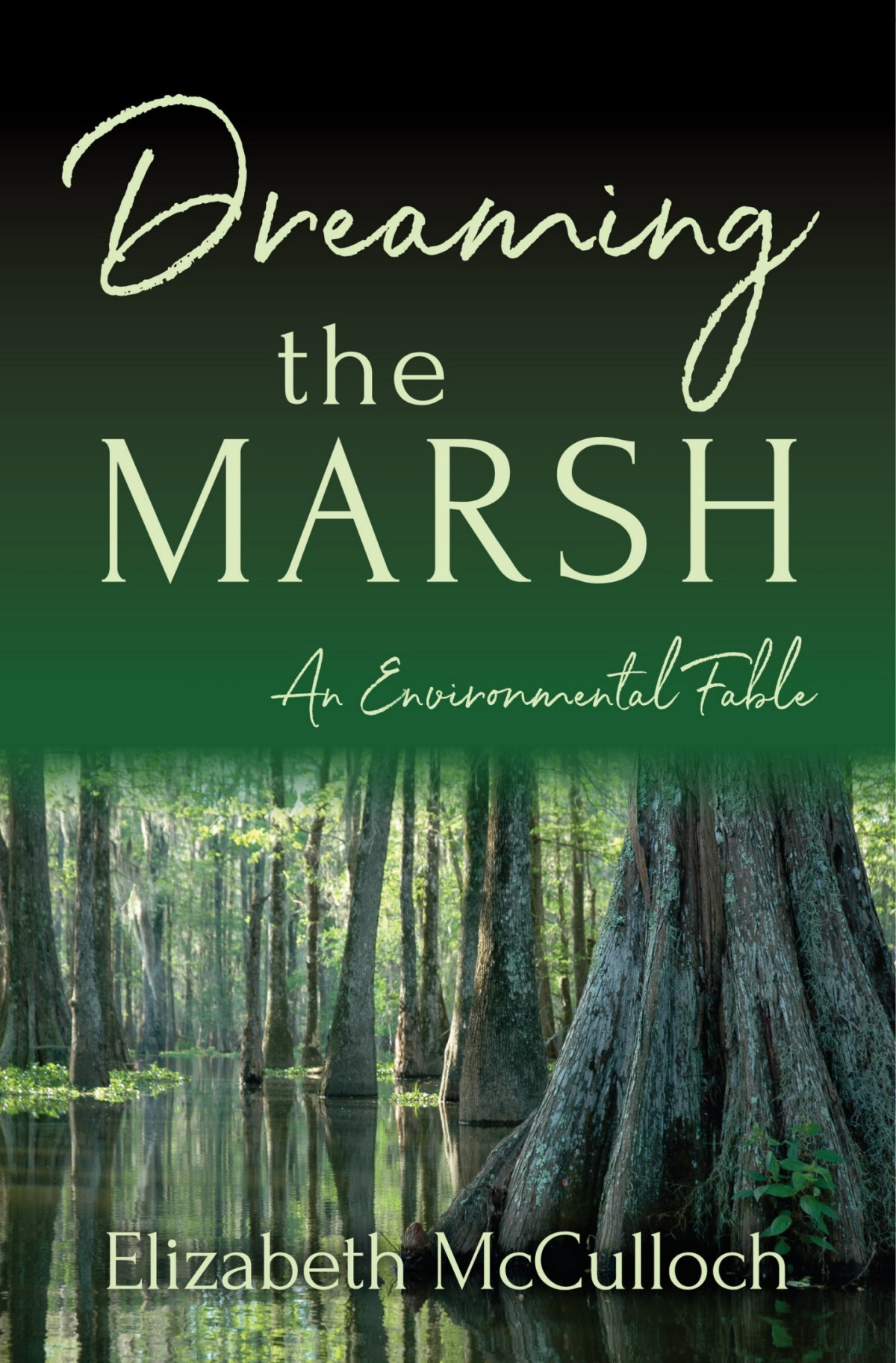 Dreaming The Marsh Mcculloch Elizabeth