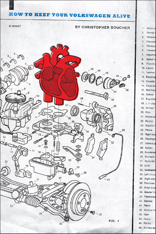 How To Keep Your Volkswagen Alive Boucher Christopher