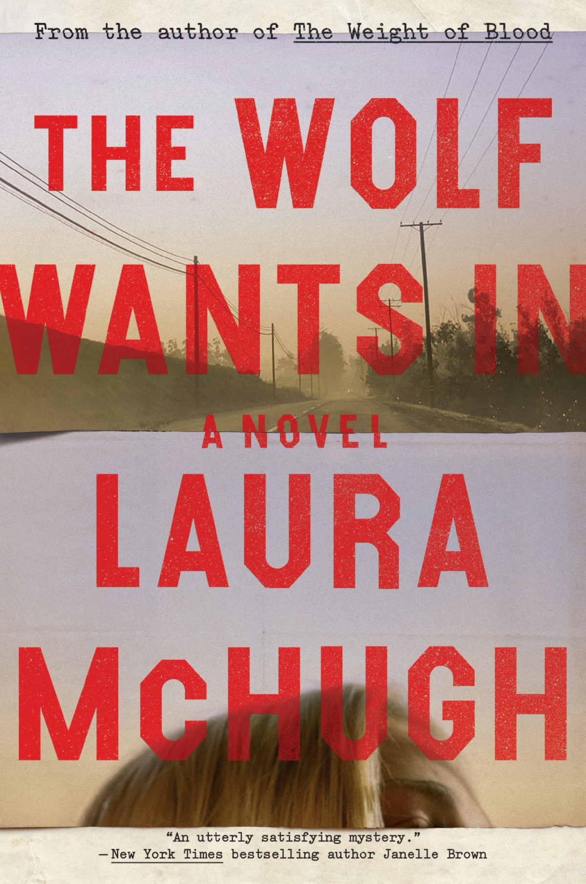 The Wolf Wants In A Novel Mchugh Laura