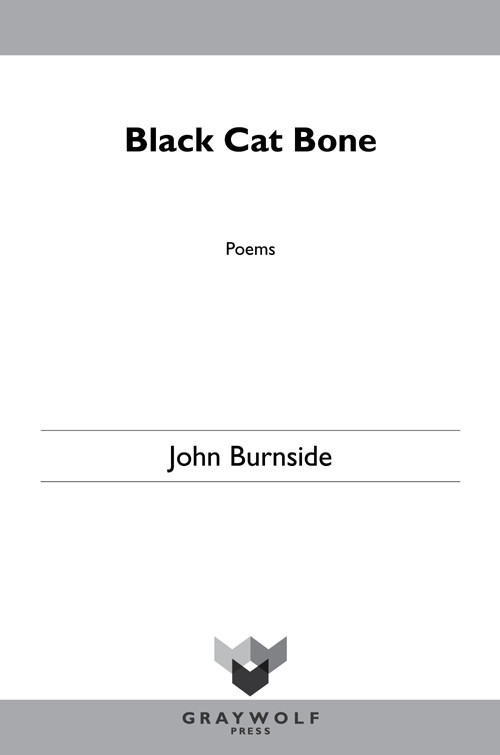 Black Cat Bone Burnside John