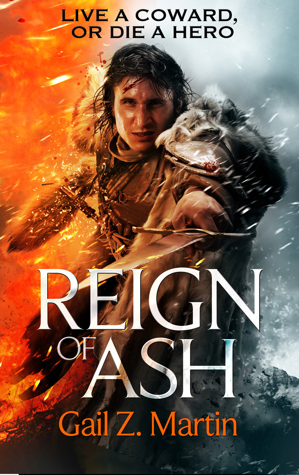 Ascendant Kingdoms 02 Reign Of Ash Martin Gail Z