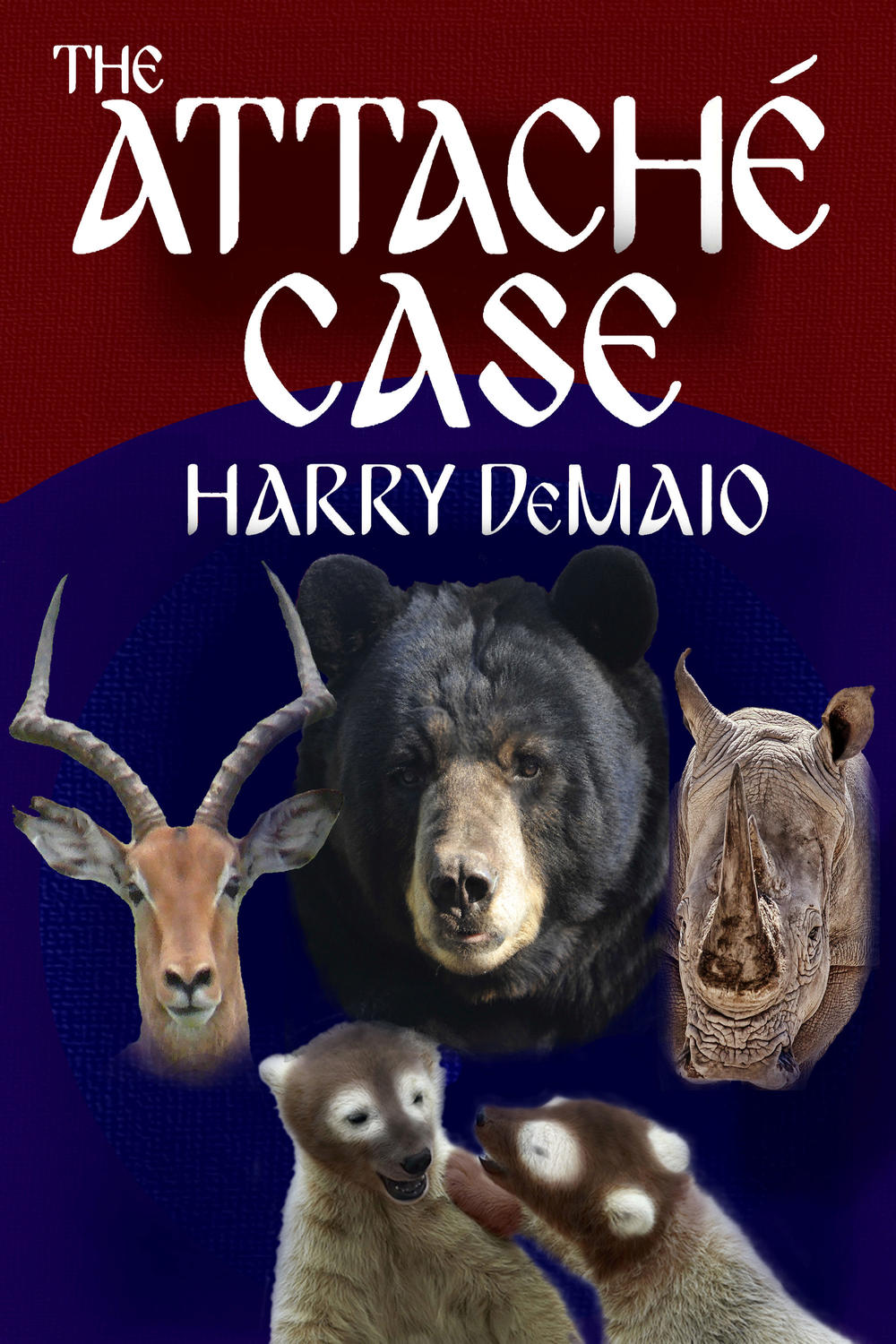 The Attaché Case Demaio Harry
